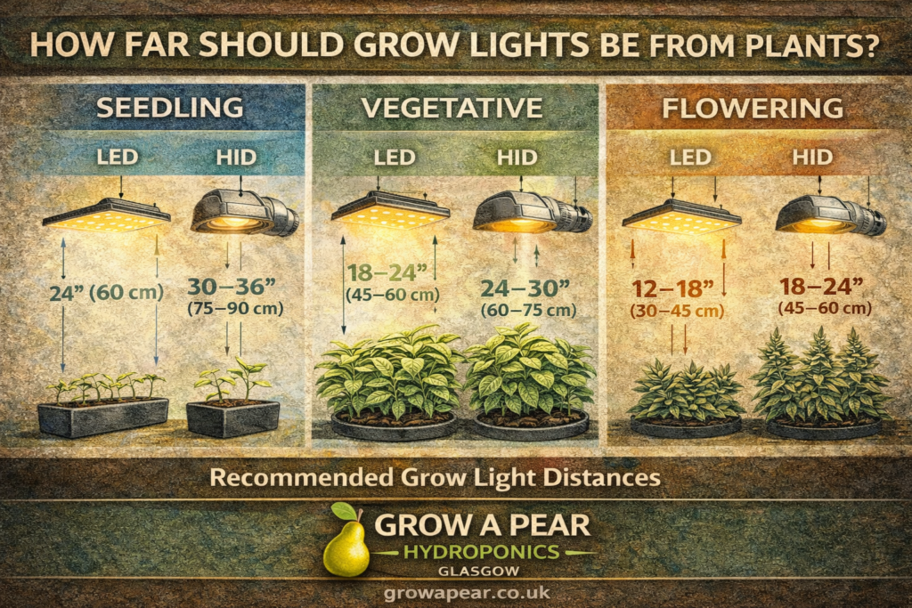 Grow light distance guide showing recommended LED and HID light distances for seedlings vegetative growth and flowering plants
