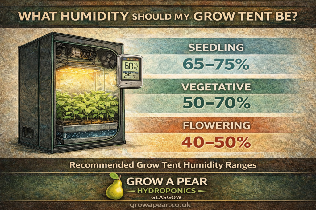 Grow tent humidity guide showing recommended humidity levels for seedlings vegetative growth and flowering stages